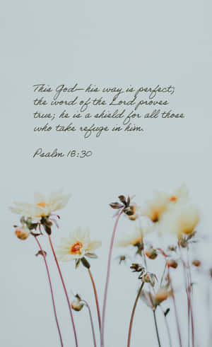 Bible Verse: Trust In The Lord With All Thine Heart Wallpaper