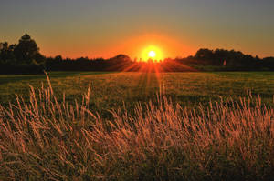 Big 3d Desktop Sunset Field Wallpaper