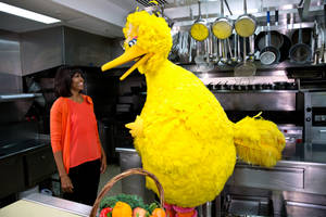 Big Bird And Michelle Obama Wallpaper