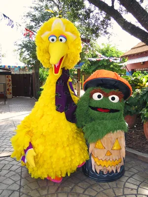 Big Bird And Oscar Wallpaper