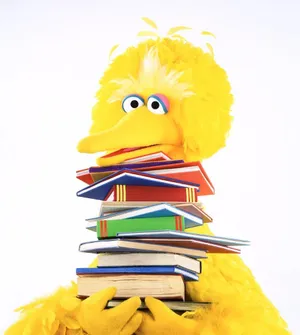 Big Bird Holding Books Wallpaper