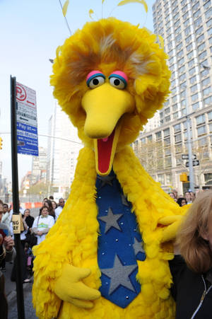 Big Bird Star Tie Wallpaper