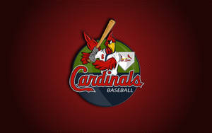 Big Red Bird St Louis Cardinals Wallpaper