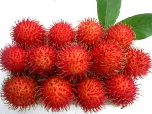 Big Ripe Pulasan Fruits Wallpaper