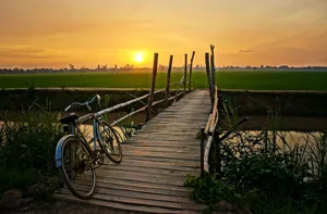 Bike On A Wooden Bridge 4k Ultra Hd Landscape Wallpaper