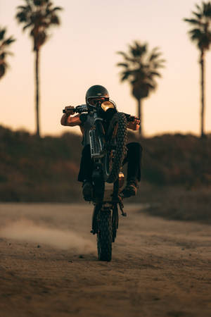 Bike Rider Performing A Wheelie Wallpaper