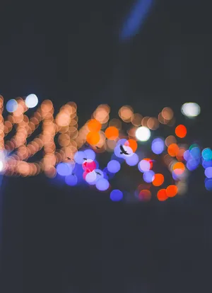 Bird Silhouette Bokeh Wallpaper