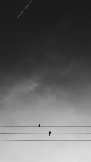 Birds On Line Iphone Dark Wallpaper