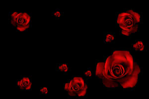 Black Aesthetic Fully Bloomed Red Roses Laptop Wallpaper