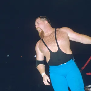 Black And Blue Jim Neidhart Wallpaper