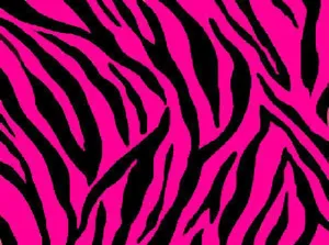 Black And Pink Zebra Background Wallpaper