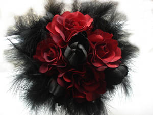 Black And Red Roses Dark Hd Flowers Wallpaper