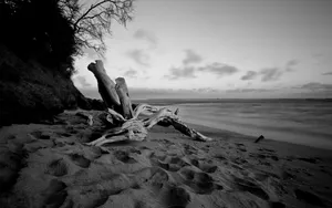 Black And White Beach Desktop Wallpaper