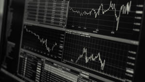 Black And White Forex Trading Graph Wallpaper
