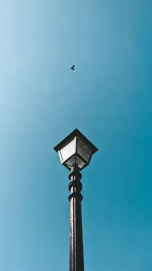 Black And White Lamp Post Plain Aesthetic Wallpaper