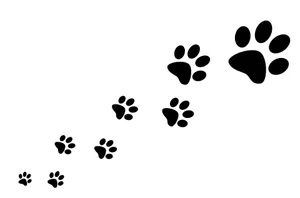 Black And White Paw Print Wallpaper