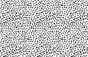 Black And White Polka Dot Pattern Wallpaper
