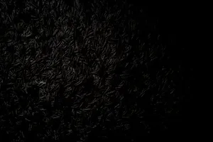 Black Android Rug Mat Wallpaper