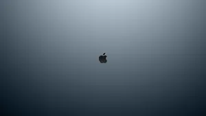 Black Apple Logo Clean 4k Wallpaper
