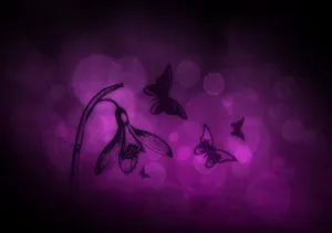 Black Butterfly Graphics Bowing Down Flower Wallpaper