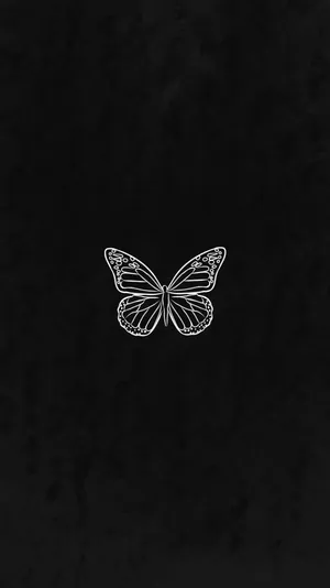 Black Butterfly In Dark Backdrop Wallpaper