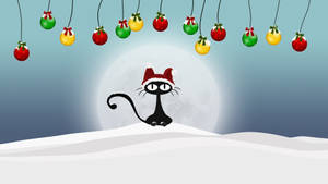 Black Cat Funny Christmas Wallpaper