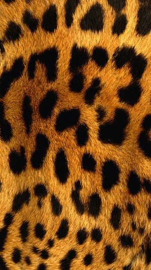 Black Cute Leopard Print Spots Wallpaper