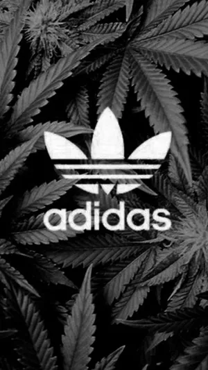 Black Dope Adidas Logo Wallpaper