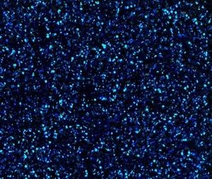Black Glitter Sparkling Blue Wallpaper