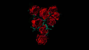 Black Red 4k Bouquet Wallpaper