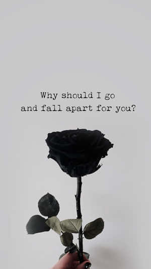 Black Rose Aesthetic Quotes Wallpaper