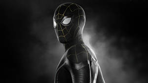 Black Spider Man No Way Home Wallpaper