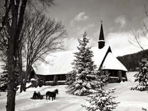 Black White House White Christmas Wallpaper