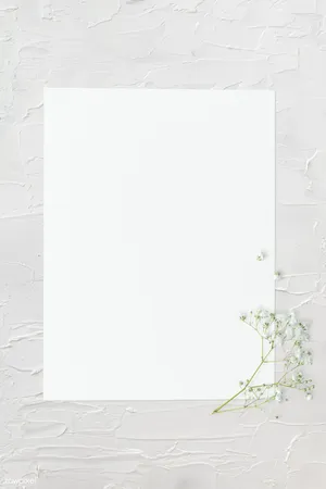 Blank Page Paper Babys Breath Flower Wallpaper