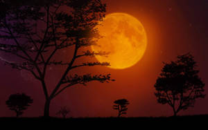 Blazing Moon Night Sky Wallpaper