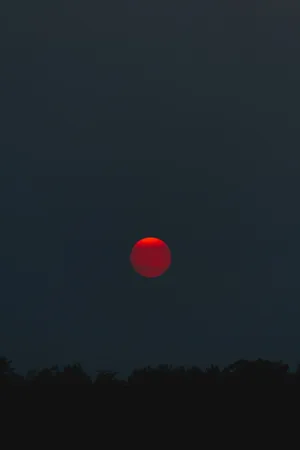 Blood Moon Pure Black Hd Phone Screen Wallpaper