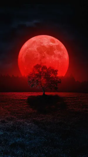 Blood Moon Tree Wallpaper