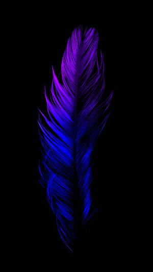 Blue, Black And Purple Aesthetic Feather Wallpaper