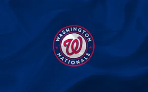 Blue Flag Washington Nationals Wallpaper