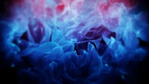 Blue Flames Roses Wallpaper