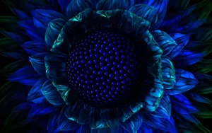 Blue Flower Core Screensavers Wallpaper