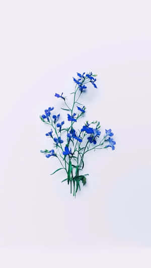 Blue Flowers Tied Up Aesthetic Wallpaper
