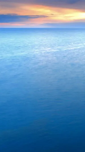 Blue Ocean Home Screen Wallpaper