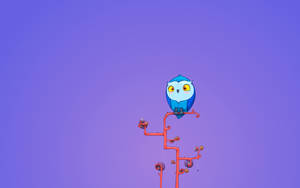 Blue Owl Cartoon Wallpaper