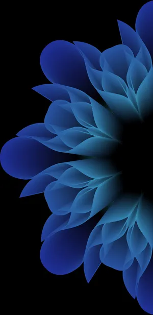 Blue Roses On Samsung Galaxy Note 7 Wallpaper