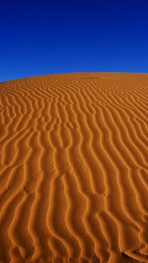Blue Skies Of Sahara Desert Iphone Wallpaper