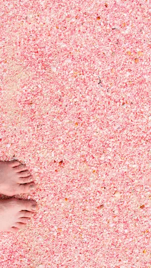 Blushing Pink Beach Paradise At Sunset Wallpaper