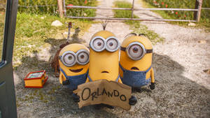 Bob Kevin And Stuart Hitch A Ride Minion Desktop Wallpaper