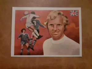 Bobby Moore Painted Poster Wallpaper