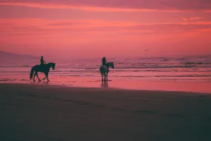Bocas Del Toro 1920x1080 Hd Beach Desktop Wallpaper